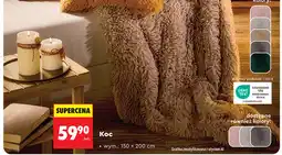 Biedronka Koc oferta