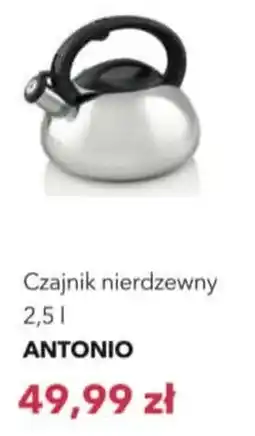 Nela Czajnik nierdzewny ANTONIO oferta