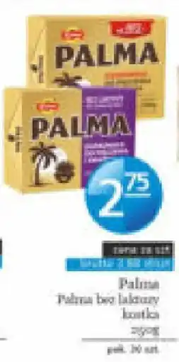 Specjał Palma Palma bez laktozy oferta