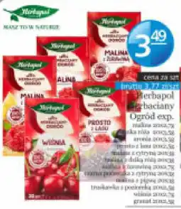 Specjał Herbapol Herbaciane Ogród exp. Malina oferta