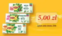 Specjał Lipton Zioła Świata 201b oferta