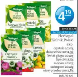 Specjał Herbapol Zielnik Polski oferta
