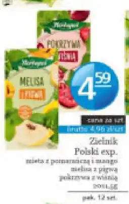 Specjał Zielnik Polski exp. melisa z mango oferta