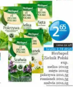 Specjał Herbapol Zielnik Polski oferta