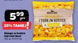 Netto Mango w kostce Harvest Best oferta