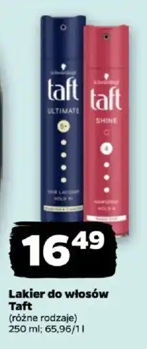 Netto Lakier do włosów Taft oferta