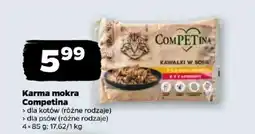 Netto Karma mokra Competina oferta