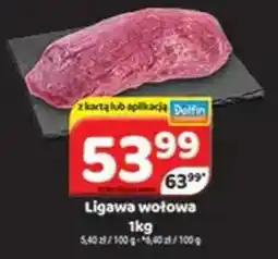 Delfin Ligawa wołowa oferta