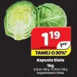 Delfin Kapusta biała oferta