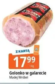 E.Leclerc Golonko w galarecie Madej Wróbel oferta