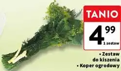 Intermarche Zestaw do kiszenia Koper ogrodowy oferta