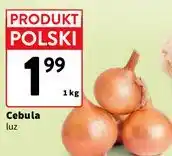 Intermarche Cebula luz oferta