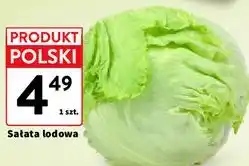 Intermarche Sałata lodowa oferta