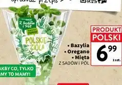Intermarche Polskie Zioła Bazylia / Oregano / Mięta Z SADÓW I PÓL oferta