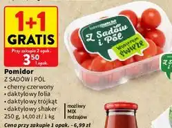 Intermarche Pomidor Z SADÓW I PÓL oferta