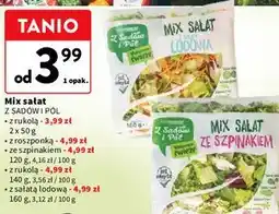 Intermarche Mix sałat Z Sadów i Pól oferta
