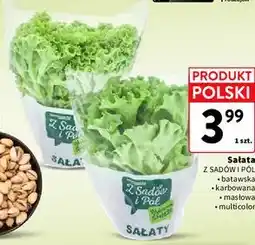 Intermarche Sałata Z Sadów i Pól oferta