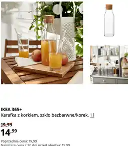 IKEA IKEA 365+ Karafka z korkiem, szkło bezbarwne/korek, 1 l oferta
