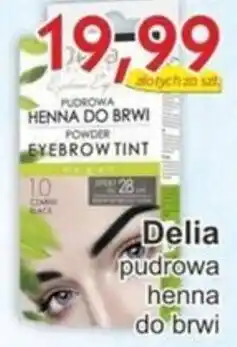Gutek Delia pudrowa henna do brwi oferta