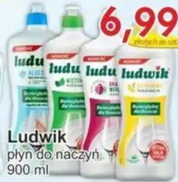 Gutek Ludwik płyn do naczyń oferta