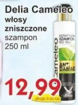 Gutek Delia Cameleo włosy zniszczone szampon oferta