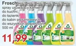 Gutek Spray usuwający kamień Frosch oferta