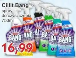 Gutek Cillit Bang spray do czyszczenia oferta