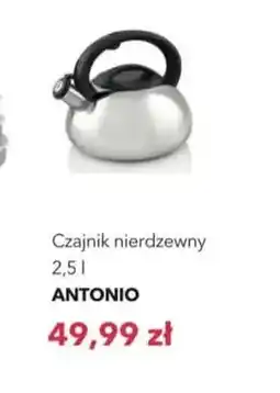 Nela Czajnik nierdzewny 2,5 l Antonio oferta