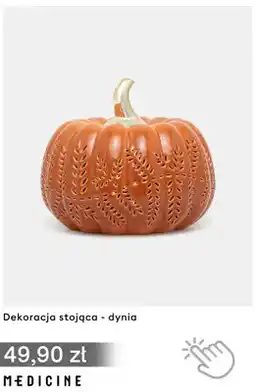 Medicine Dekoracja stojąca dynia Medicine oferta