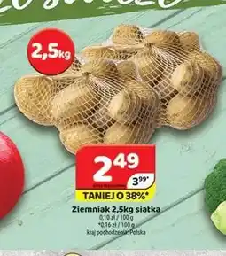 Delfin Ziemniaki siatka oferta