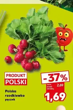 Kaufland Rzodkiewka polska oferta