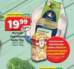 Delfin Kurczak Zagrodowy Sedar oferta