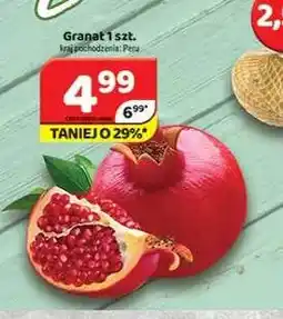 Delfin Granat oferta