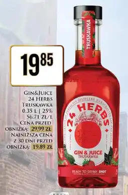 Dino Gin & Juice 24 Herbs truskawka oferta
