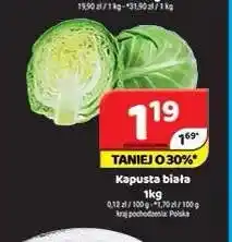 Delfin Kapusta biała oferta