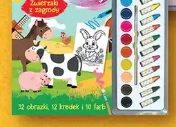 Biedronka Kolorowanka Maluj i koloruj Zwierzaki z zagrody oferta