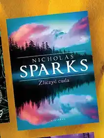 Biedronka Książka Zliczyć cuda Nicholas Sparks oferta
