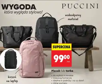 Plecak Puccini