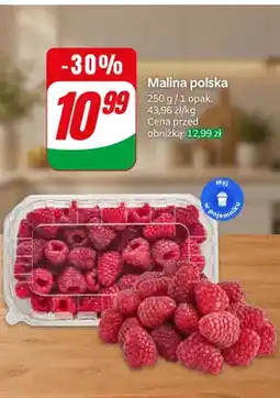 Dino Maliny polskie oferta