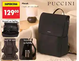 Biedronka Plecak Puccini oferta