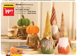 Biedronka Skrzat dekoracyjny o oferta