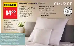Biedronka Poduszka Aloe Vera Smukee 40x40 cm oferta