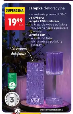 Biedronka Lampka dekoracyjna RGB z pilotem w kształcie tuby z poświatą róży Lethe oferta