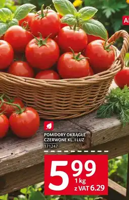 Selgros Pomidory oferta
