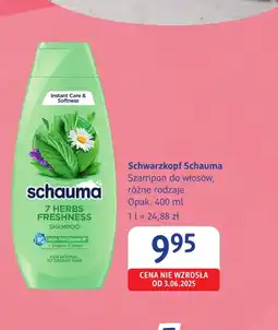 dm drogerie markt Szampon Schauma oferta