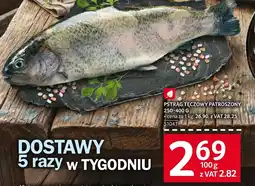Selgros Pstrąg tęczowy oferta
