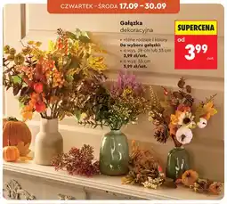 Biedronka Gałązka dekoracyjna o oferta