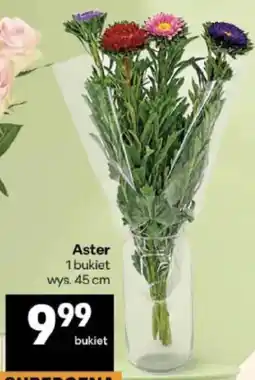 Delikatesy Centrum Aster oferta
