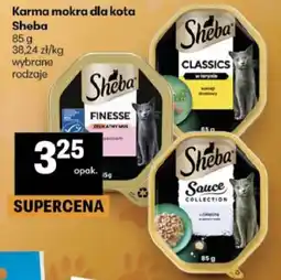 Delikatesy Centrum Karma mokra dla kota Sheba oferta