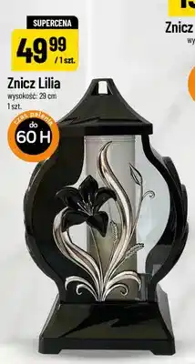 Polomarket Znicz Lilia oferta